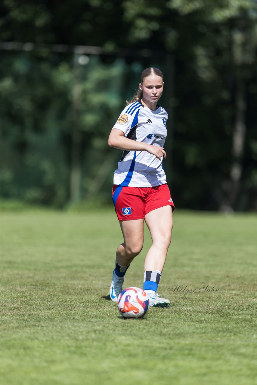 Bild 431 - wBJ Hamburger SV - VfL Wolfsburg : Ergebnis: 5:1